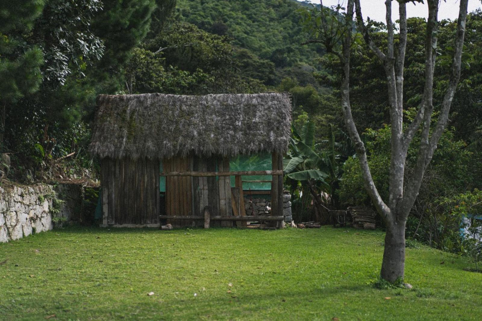 Lucmabamba Lodge Santa Teresa  Kültér fotó